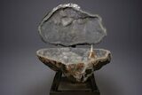 Amazing Quartz Geode Display on Stand - Spectacular #351499-3
